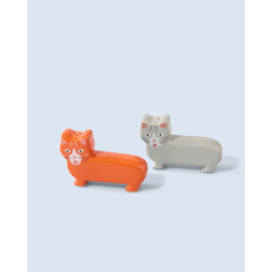 Fluid Market × Thomas Gravereau salt and pepper chat cat