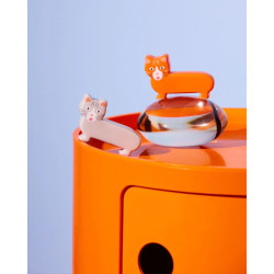 Fluid Market × Thomas Gravereau salt and pepper chat cat