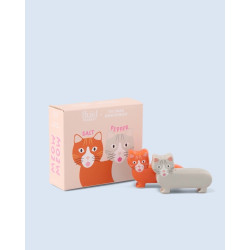 Fluid Market × Thomas Gravereau salt and pepper chat cat