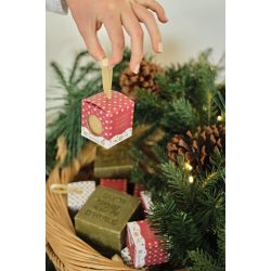 Marius Fabre cubo verde Noël da appendere sapone di Marsiglia olio d'oliva 100 g