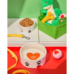 Fluid Market gamelle chien dog bowl