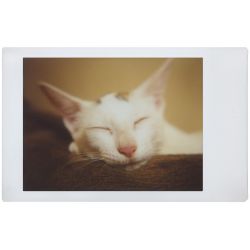 Lomo'Instant Automat & Lenses Dahab  by Lomography