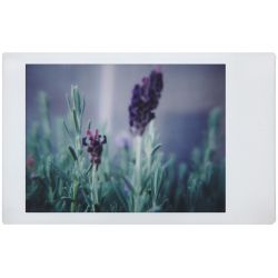 Lomo'Instant Automat & Lenses Dahab  by Lomography