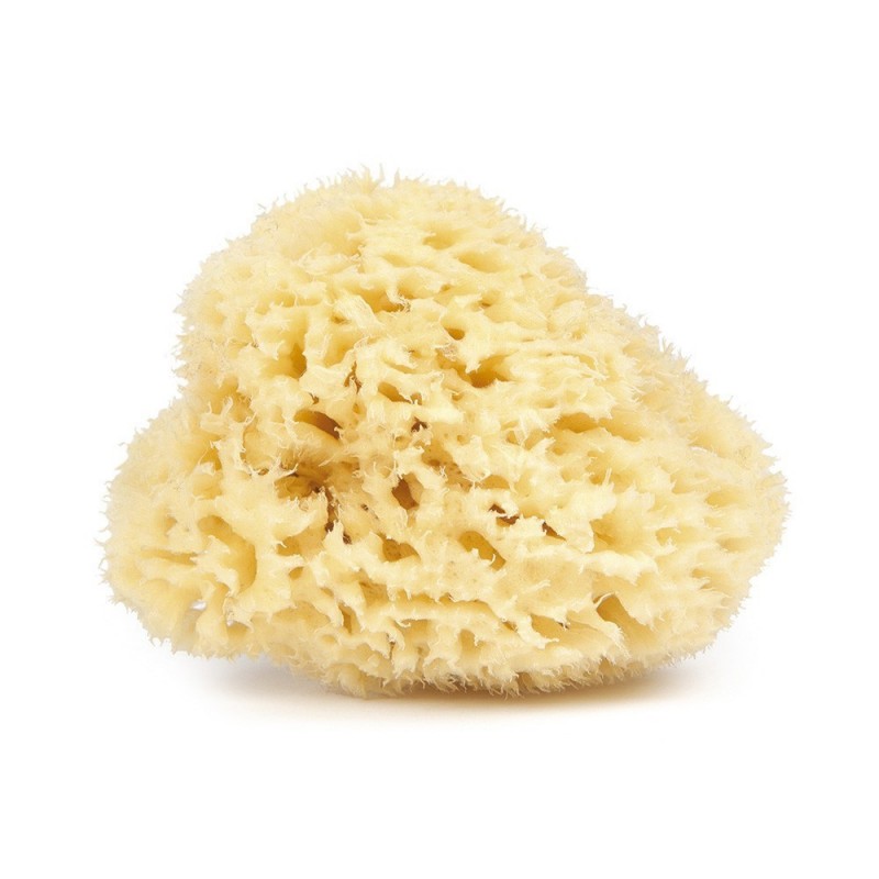 59 / 5000 Risultati della traduzione Natural Mediterranean sponge 10 cm - Éponge naturelle - Najel