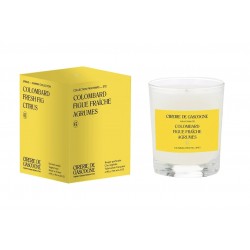 Colombard fig citrus candle Cirerie de Gascogne